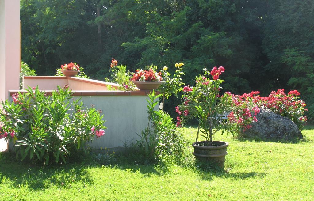 Bed and Breakfast La Casa Dei Boschi San Marino Exteriér fotografie
